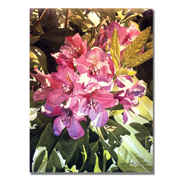 Trademark Fine Art David Lloyd Glover 'Royal Rhododendrons' Canvas Art, 18x24 DLG0194-C1824GG